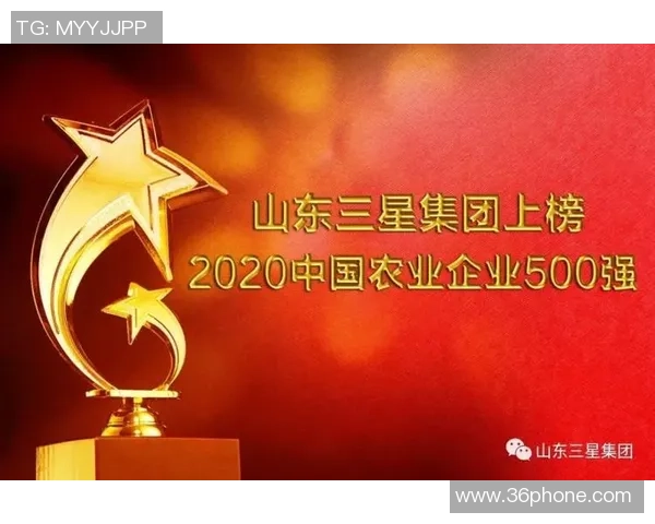 南京篮球队实力强劲荣登个人能力排行榜第二名