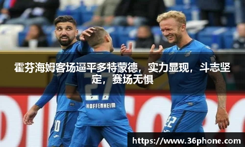 B体育bsports