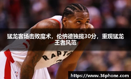 B体育bsports