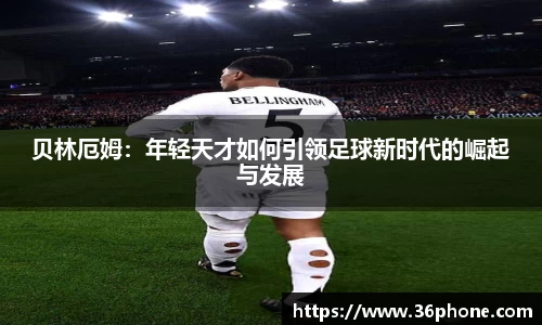 bsports官网入口