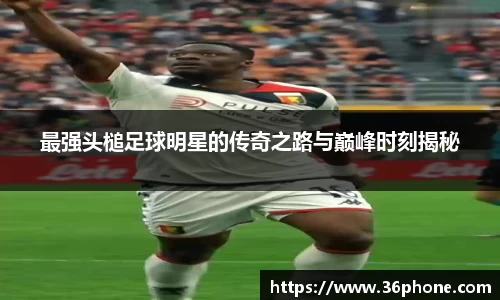 B体育bsports